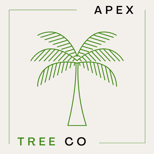 Apex-Tree.png