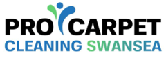 pro-carpet-cleaning-swansea-logo-1-1-a1ba846e.png