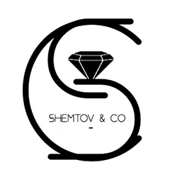 SHEMTOV-Social-Media-Profile-Photo.png