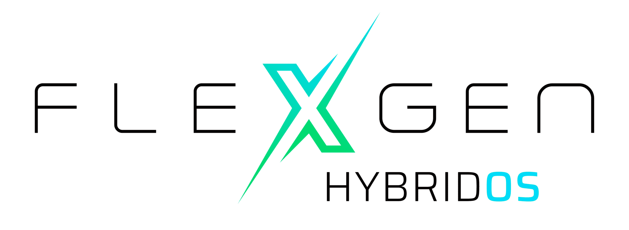 FlexGen_HybridOS_Logo.png
