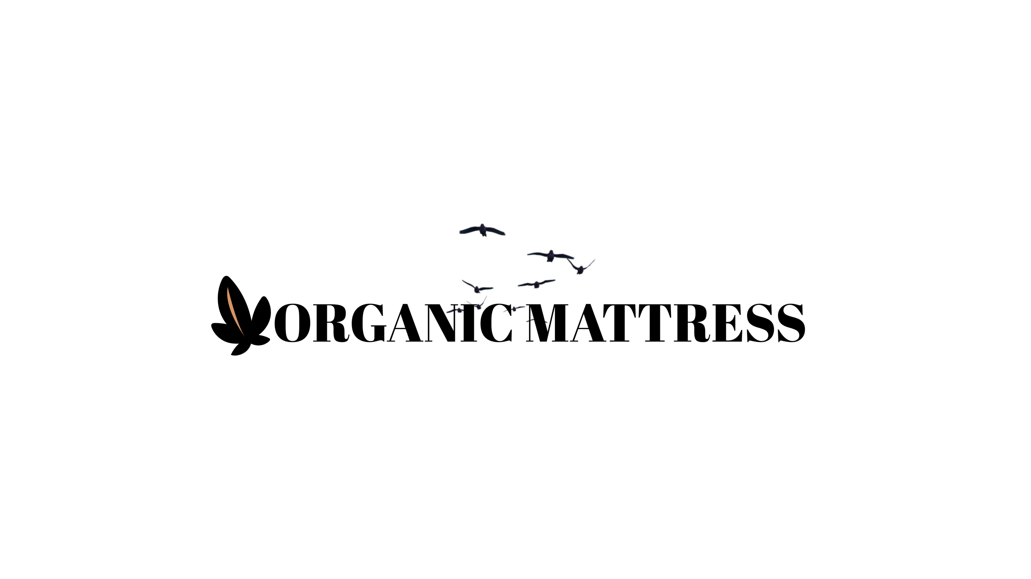 Best Organic Mattress Crib