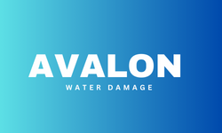 Avalon.png