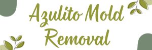 Azulito-Mold-Removal.jpg