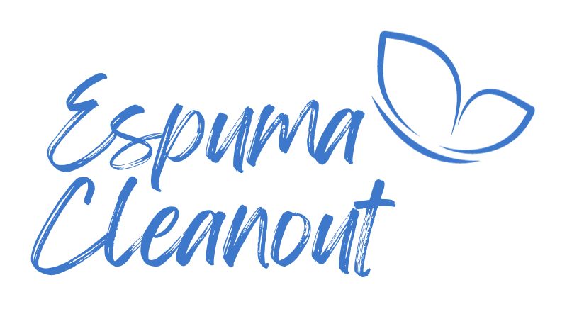 Espuma-Cleanout-1.jpg