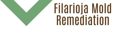 Filarioja-Mold-Remediation.jpg