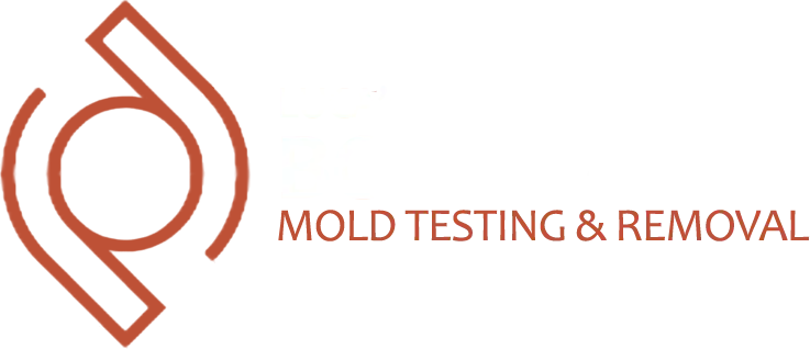 Lucas-Mould-Remediation-Boca-Raton-png.png
