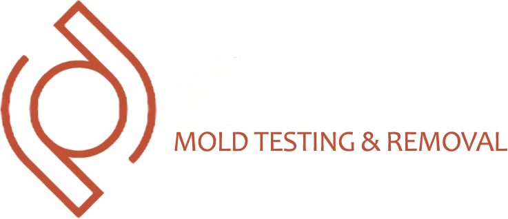 Luca’s Mold Remediation Boca Raton