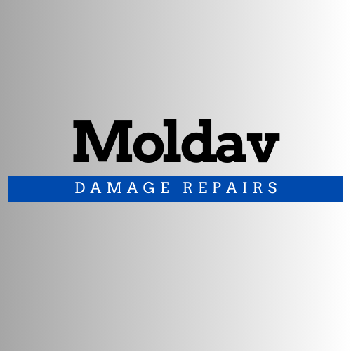 Moldav-Logo.png