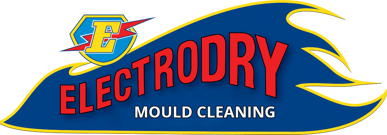 Mould-cleaning-logoo.png