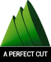 A-Perfect-Cut-Tree-Services.png