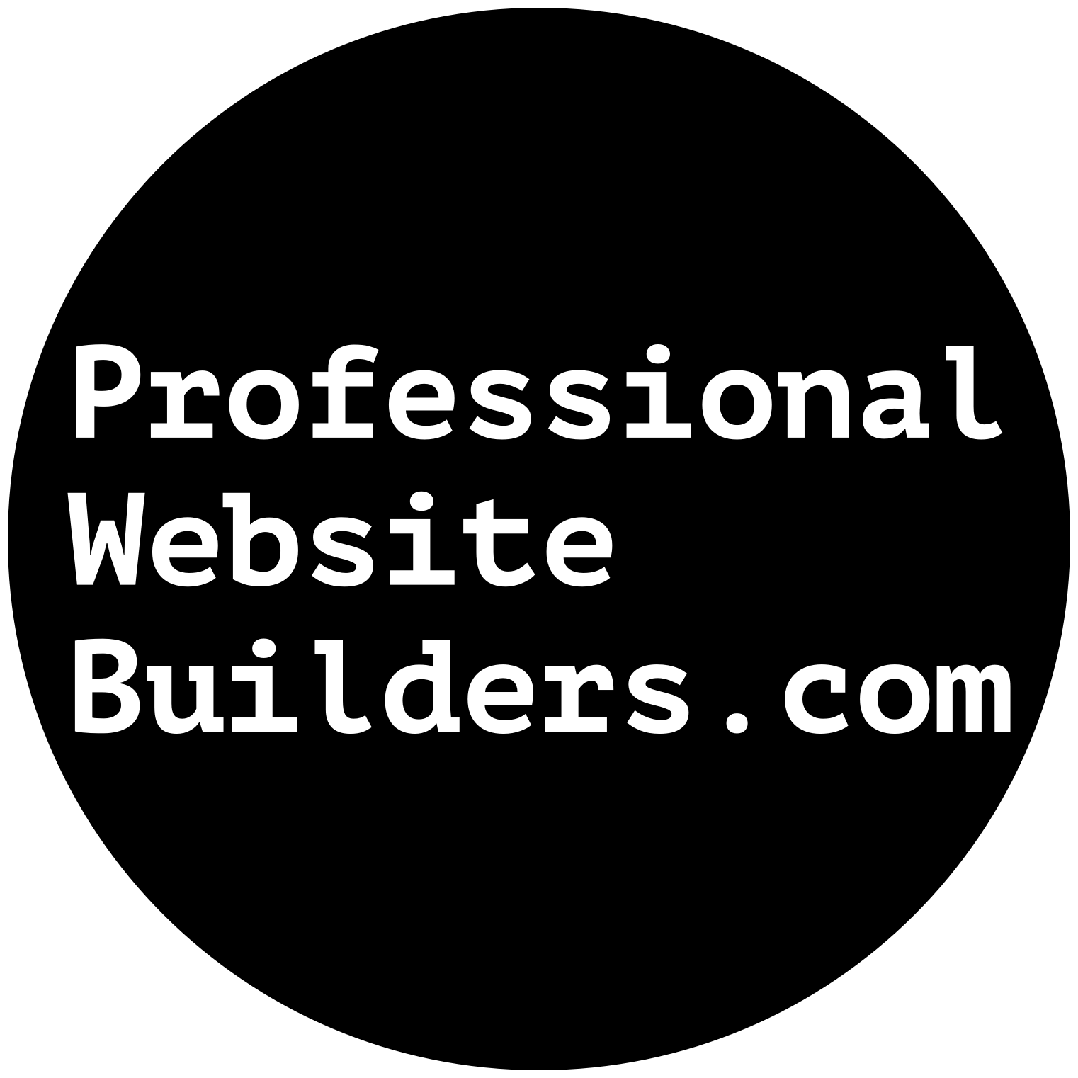 Professional Website Builders