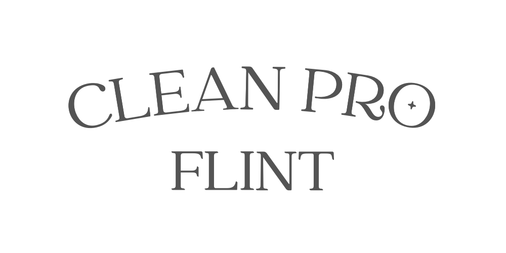 Clean Pro Flint