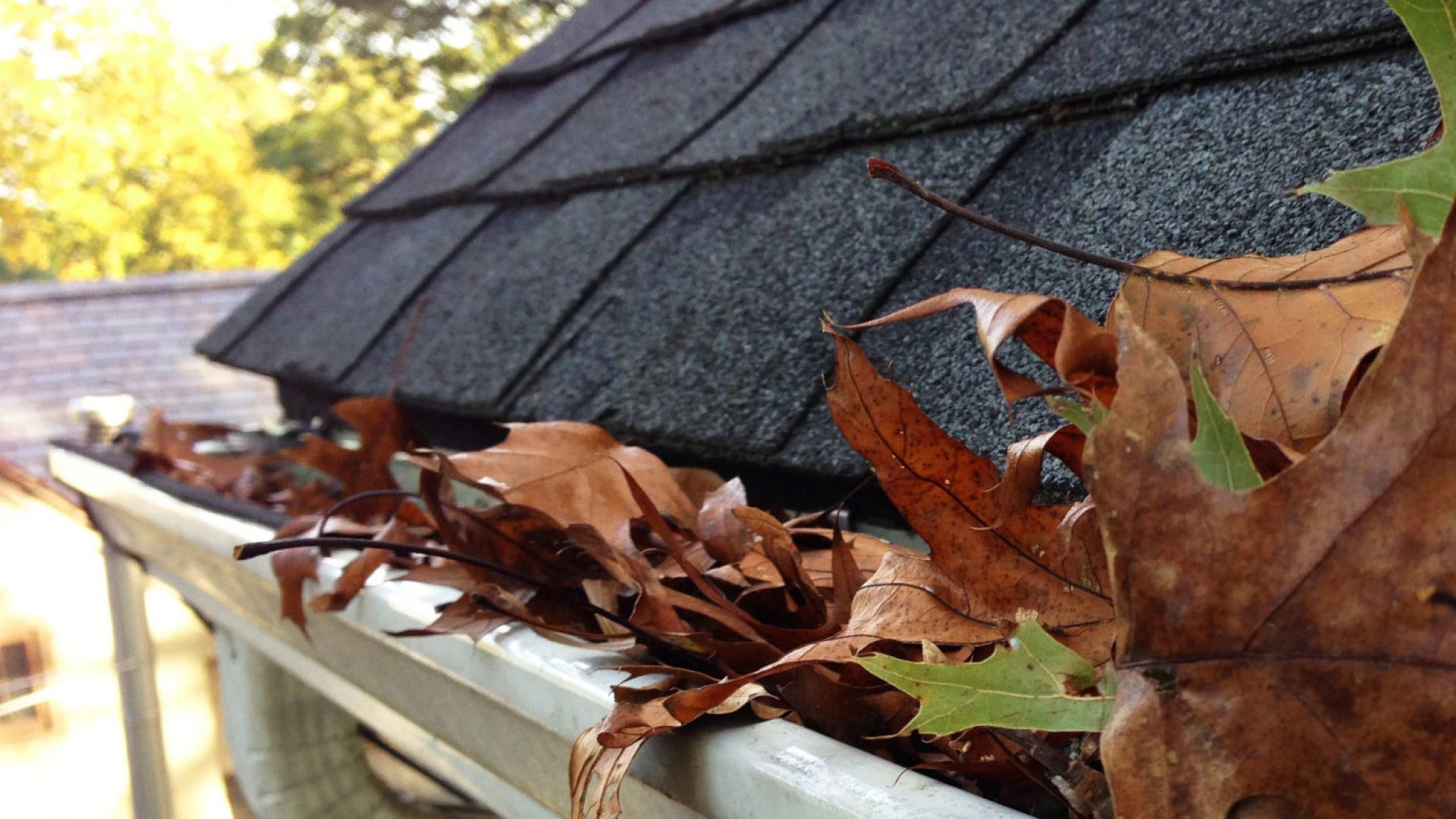 Clean Pro Gutters