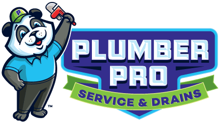 Gwinnett Plumber Pro Service