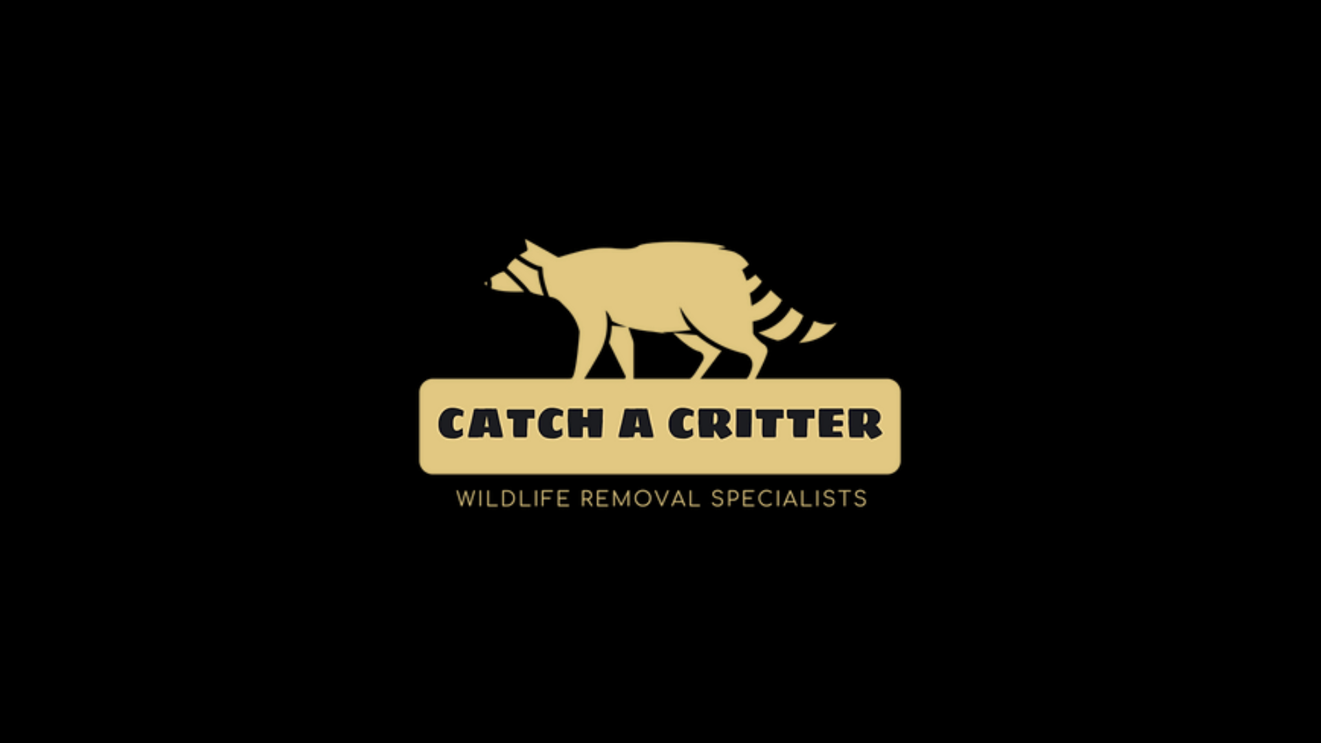 Catch A Critter