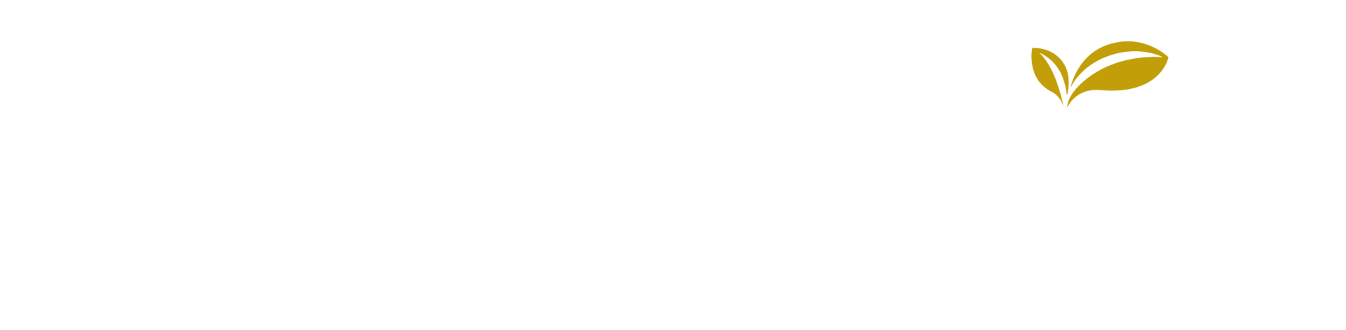 The Landing Senior Living - The Landing of Bogart