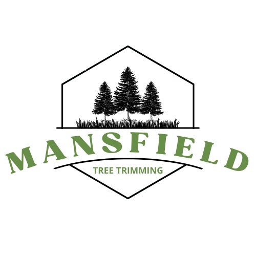 Mansfield Tree Trimming