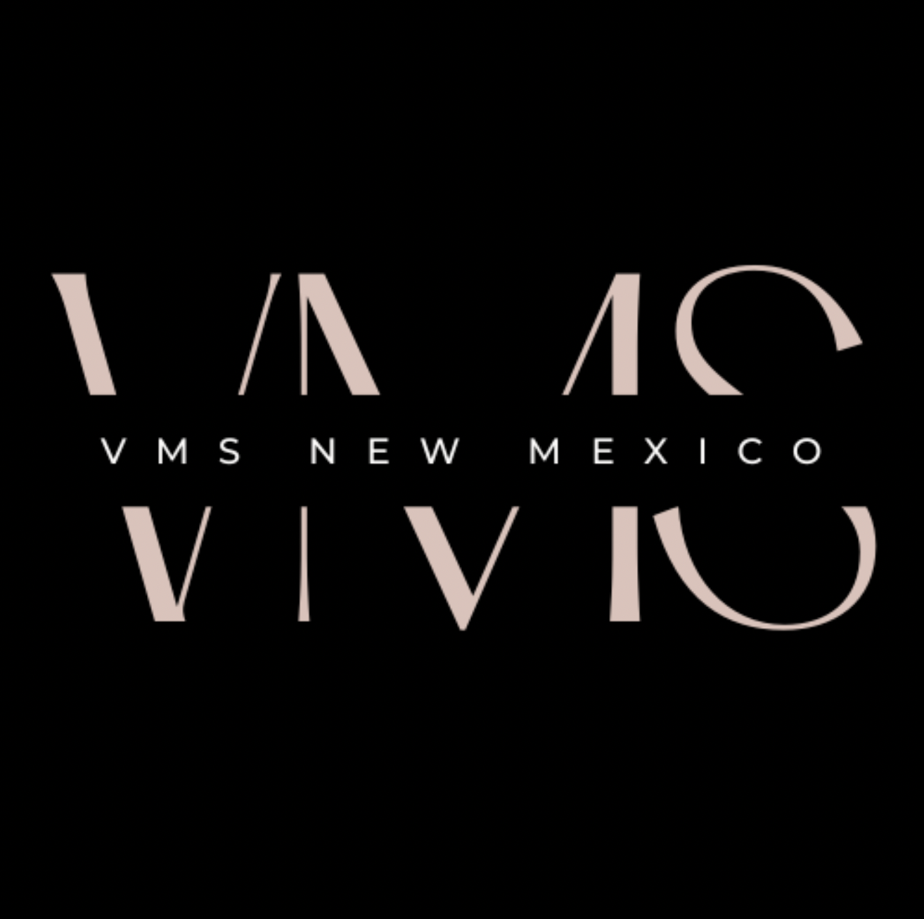 VMS-New-Mexico.png