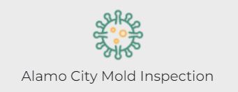 Alamo City Mold Inspection