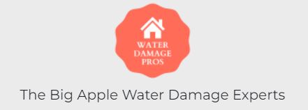 The Big Apple Water Damage Experts