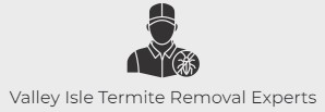 Valley Isle Termite Removal Experts