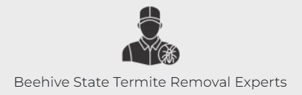 Beehive State Termite Removal Experts