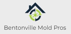 Bentonville Mold Pros