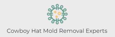 Cowboy Hat Mold Removal Experts