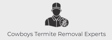 Cowboys Termite Removal Experts