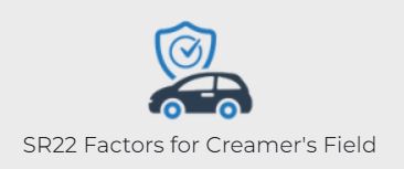 SR22 Factors for Creamer's Field