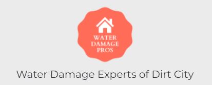 Water Damage Experts of Dirt City