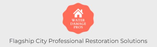 Flagship City Professional Restoration Solutions