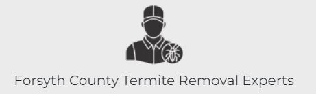 Forsyth County Termite Removal Experts