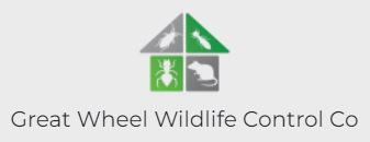 Great Wheel Wildlife Control Co