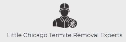 Little Chicago Termite Removal Experts