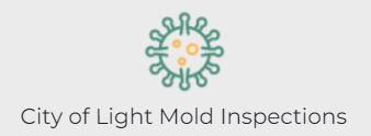 City of Light Mold Inspections