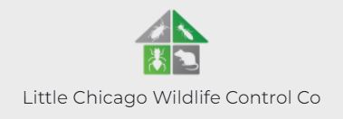 Little Chicago Wildlife Control Co