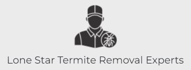 Lone Star Termite Removal Experts