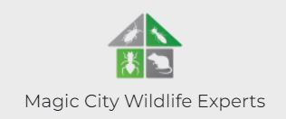 Magic City Wildlife Experts