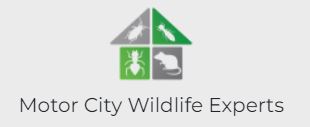 Motor City Wildlife Experts