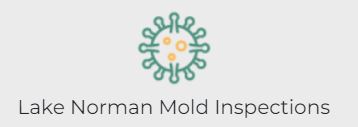 Lake Norman Mold Inspections