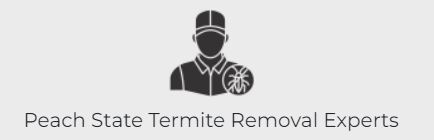 Peach State Termite Removal Experts