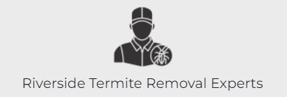 Riverside Termite Removal Experts