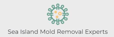 Sea Island Mold Removal Experts