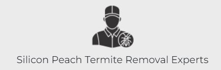 Silicon Peach Termite Removal Experts