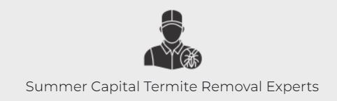 Summer Capital Termite Removal Experts