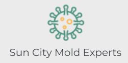 Sun City Mold Experts