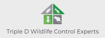 Triple D Wildlife Control Experts