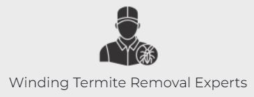 Winding Termite Removal Experts