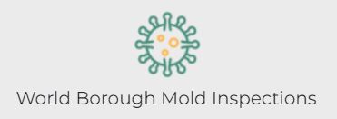 World Borough Mold Inspections